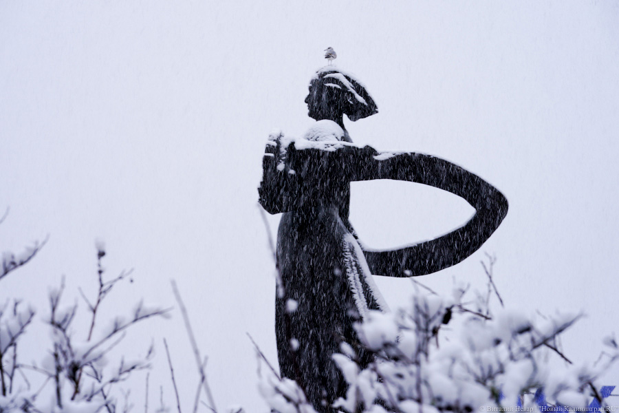 За ночь Калининград замело снегом. Вот как выглядел город утром 13 января (фото)