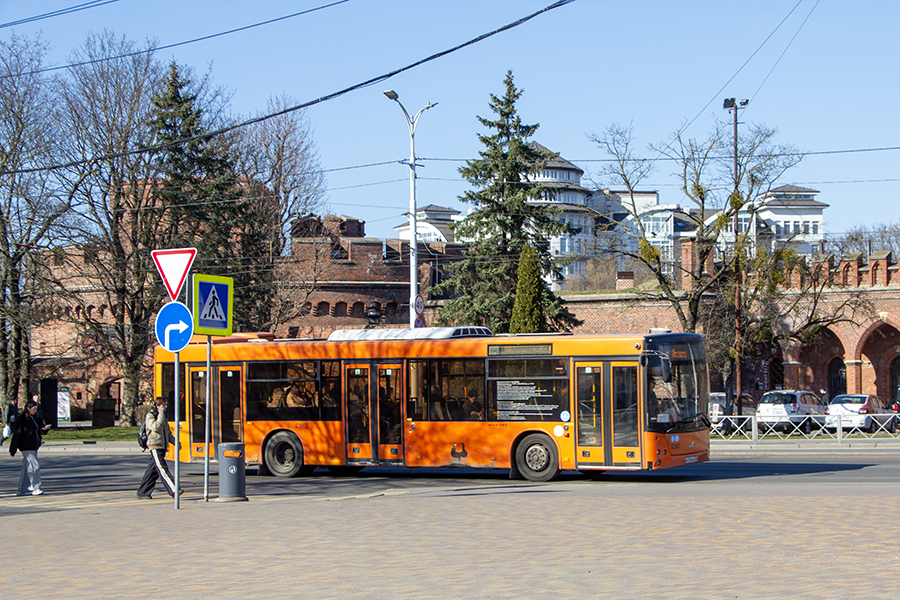 Власти Калининграда рассказали, когда транспорт забрендируют к юбилею области