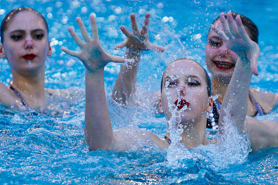 В Калининграде проходит Кубок России по синхронному плаванию. Вот как это выглядит (фото)