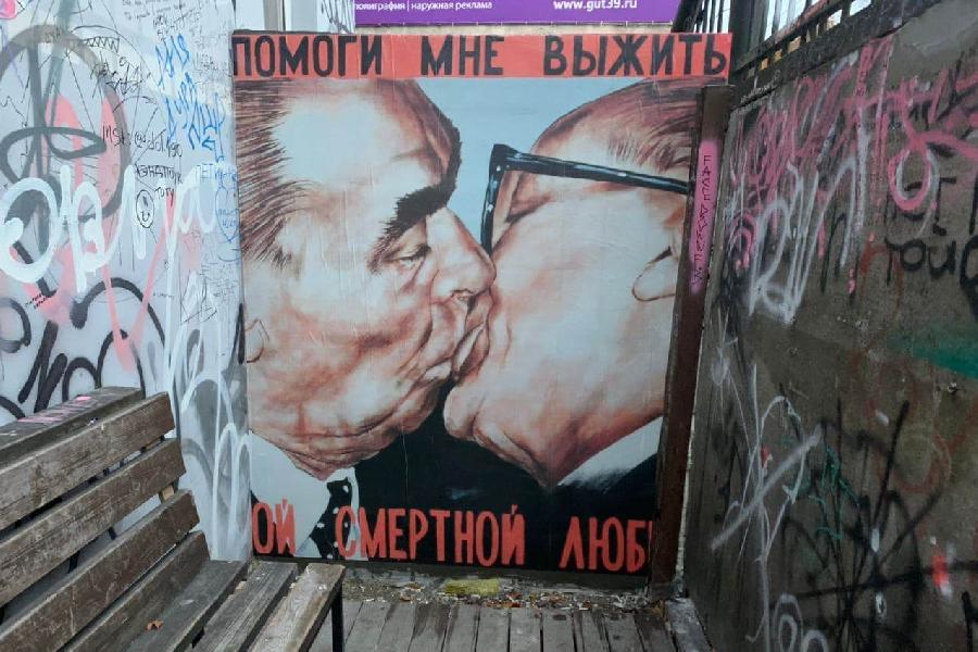 В Калининграде появилась мини-версия Берлинской стены (фото)