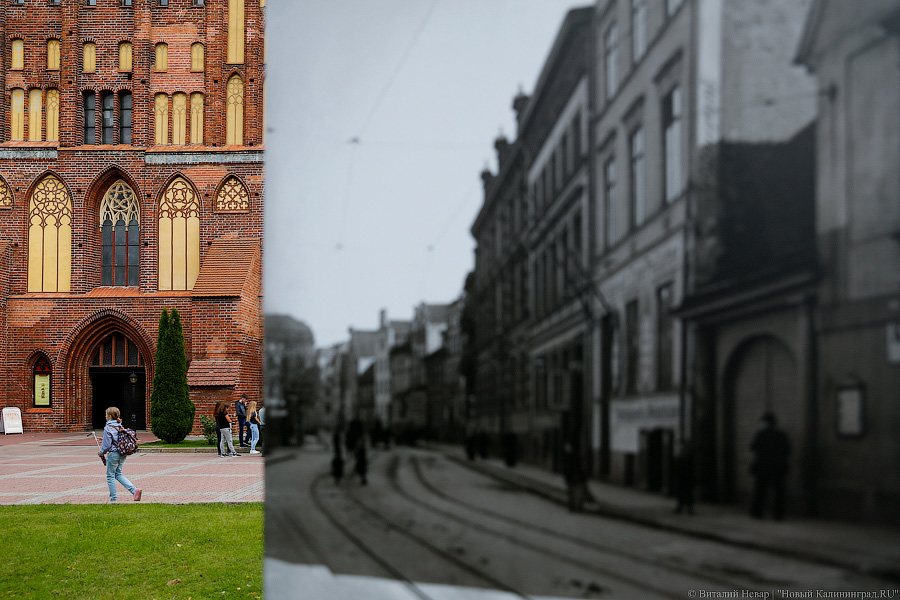 Прогулки по Кнайпхофу: о чём рассказывают новые стенды на острове Канта