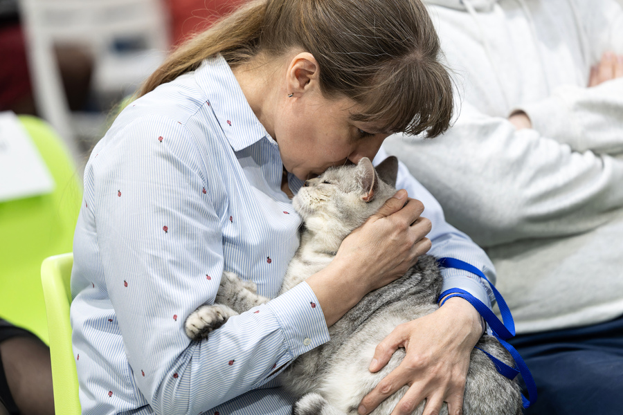 Шляпа, Боня и Нила: как четвероногие друзья спасают друг другу жизни