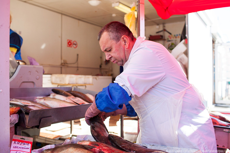 Треска из Пионерского, лещ из Полесска: что такое калининградская кухня