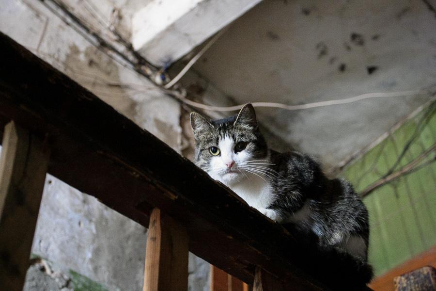 Фото — Виталий Невар, «Новый Калининград.Ru».