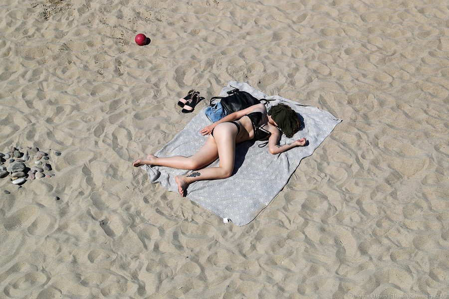 Откуда в Калининграде жара и когда все это закончится: объясняем в «коубах»