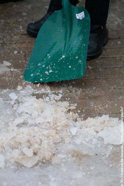 "В руки - лопаты": фоторепортаж "Нового Калининграда.Ru"