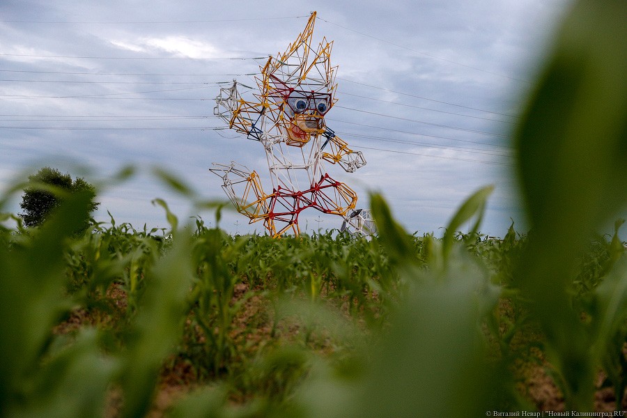 Опора за 28 млн: на Приморском кольце построили ЛЭП в виде волка Забиваки