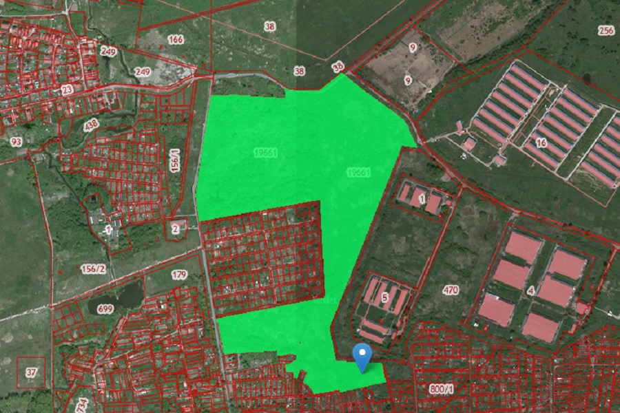 Администрация Калининграда ищет подрядчика для озеленения городских лесов на 13 млн рублей