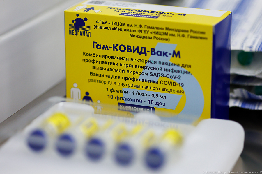В Калининградской области выявили 1019 новых случаев коронавируса