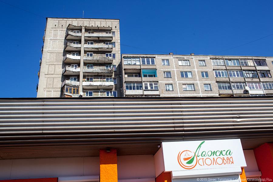 Новое место: столовая «Ложка» на Московском проспекте