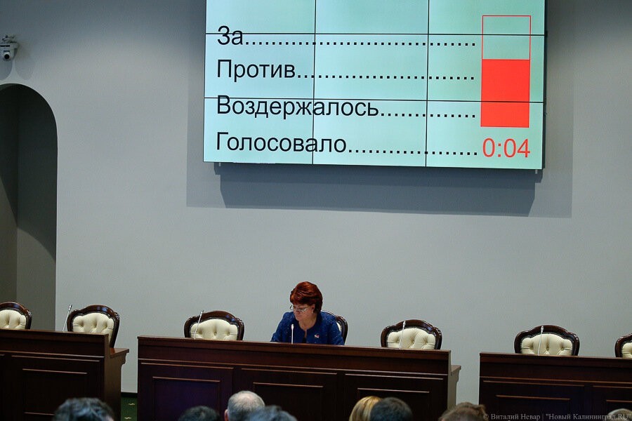 Калининградскому бизнес-омбудсмену дали право законодательной инициативы