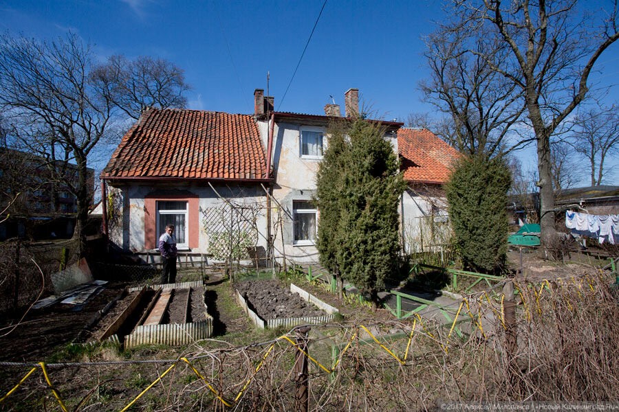 Фото — Алексей Милованов, «Новый Калининград»