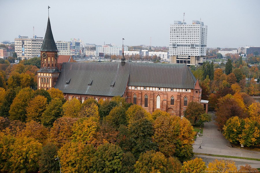 Виталий Невар / Новый Калининград