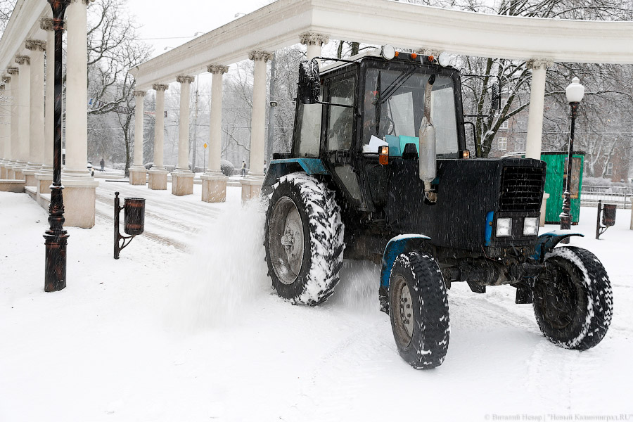 Горвласти хотят взять новую технику для «Чистоты» в лизинг