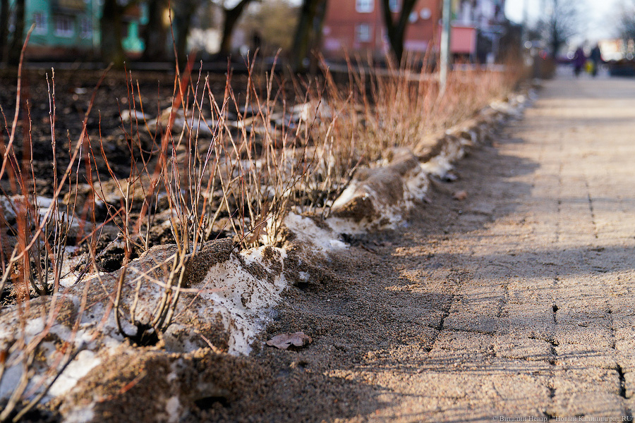 Как выглядит обновленная пешеходная зона на улице Рокоссовского без снега (фото)
