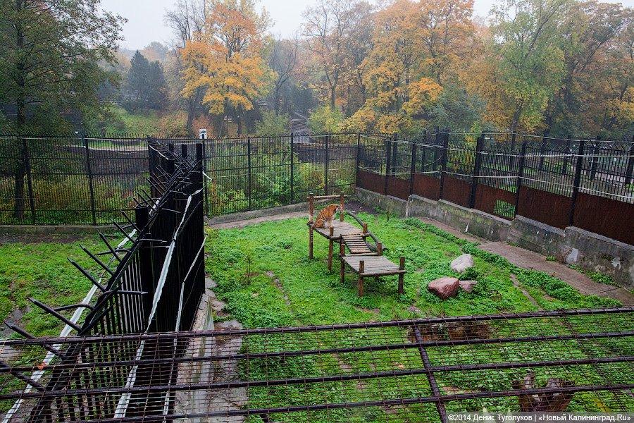 Звериные тропы: прогулка по зоопарку