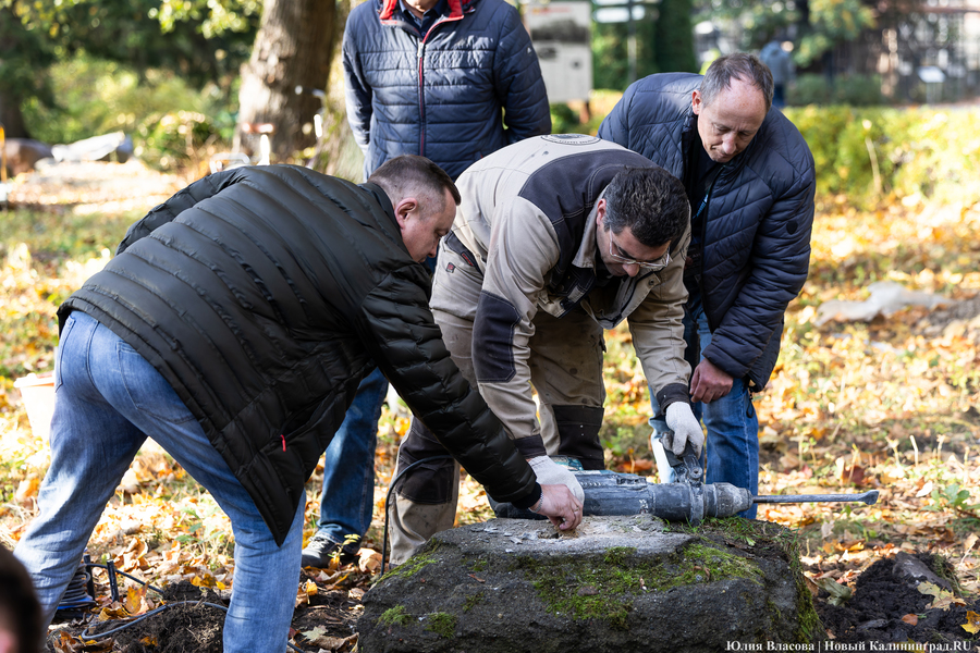 Эхо прошлого: в Калининградском зоопарке извлекли 94-летнюю «капсулу времени» (фото)