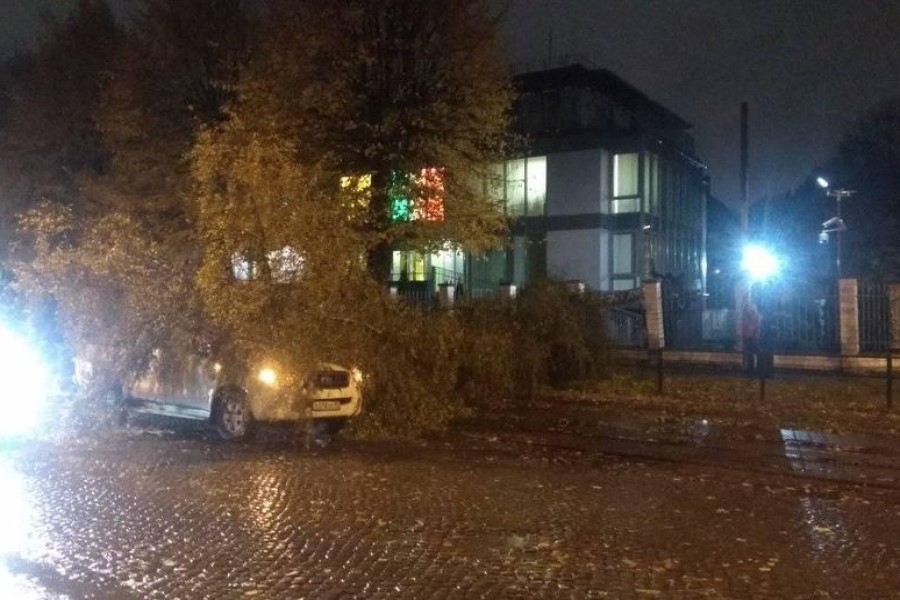 В Калининграде упало 20 деревьев, повреждены дома, автомобили, линии электропередач