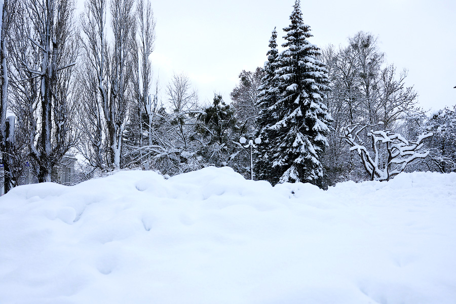 Хаос под белым покрывалом: как выглядит утонувший в снегу Калининград (фото)
