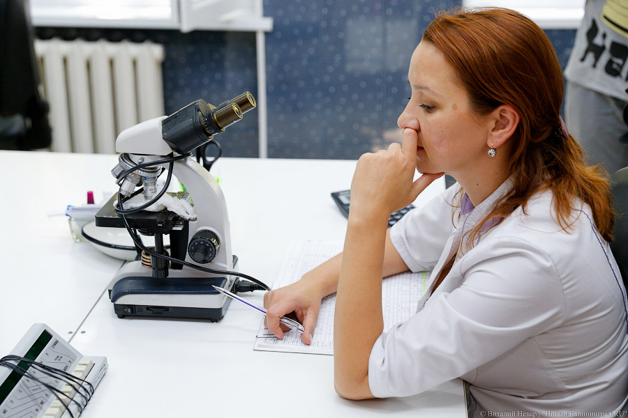 В Минздраве придумали, кем заменить терапевтов, не желающих работать в школах