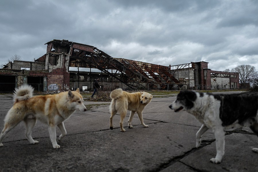 Боль «вашей глуши»: что происходит с ангарами на Балтийской косе (фото)