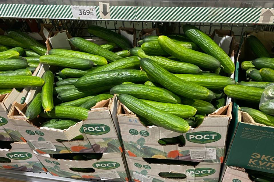 В центре внимания яйца и огурцы: как изменились цены в Калининграде за месяц