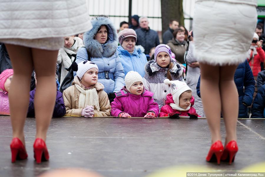 Ишь ты, Масленица!: как в зоопарке отмечали приход весны