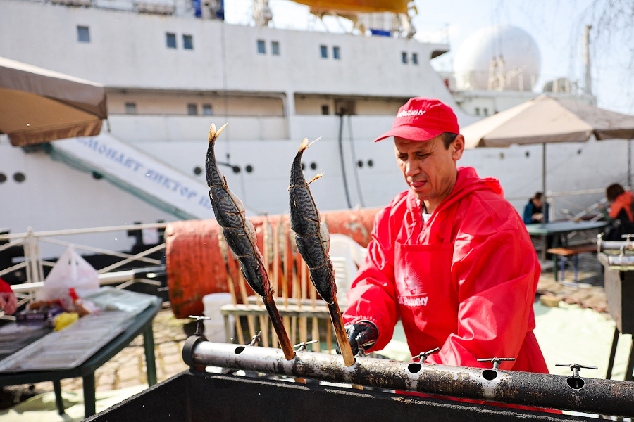 Селедка под сакурой: как прошел самый известный в России калининградский праздник (фото)
