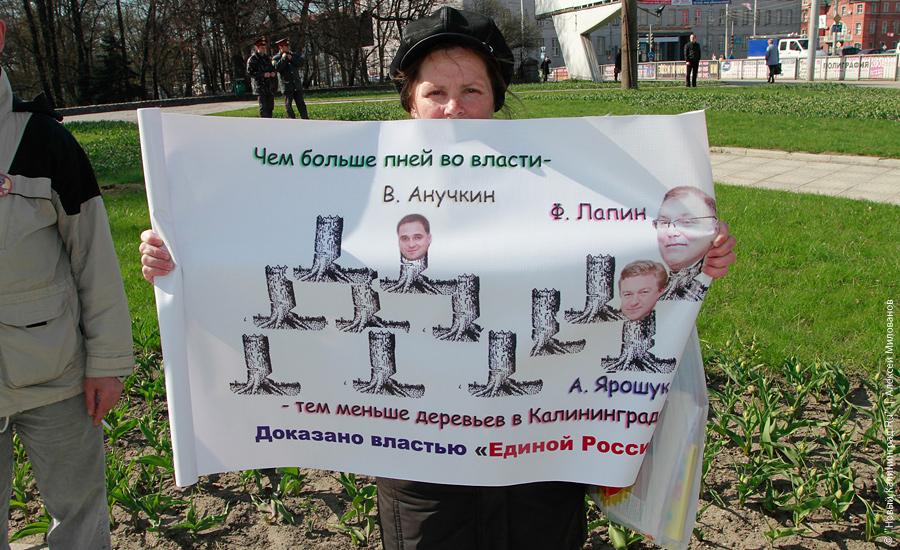 "Педозастройщики и пни во власти": фоторепортаж "Нового Калининграда.Ru"