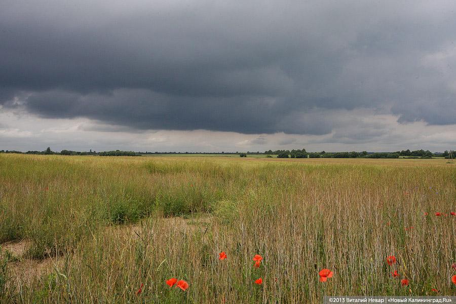 По следам Первой мировой: захоронение в пос. Совхозное Нестеровского района