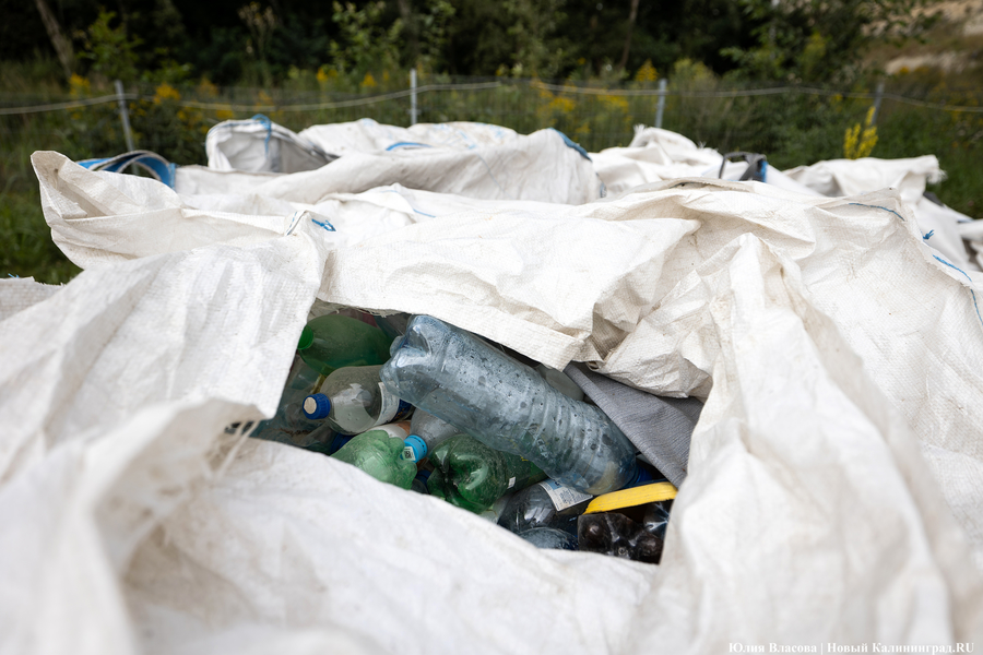 «Стихией управлять не научились»: как глава Минприроды РФ понюхал воздух в Круглово (фото)