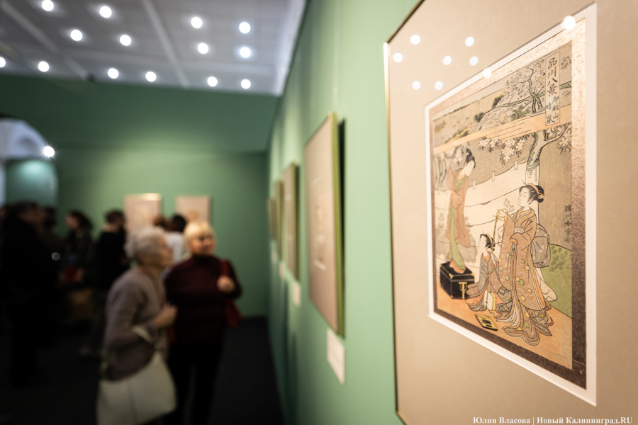 Япония рядом: в Музее изобразительных искусств открылись Дни Эрмитажа (фото)