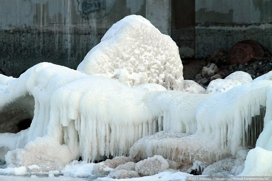 "Аки посуху": фоторепортаж "Нового Калининграда.Ru"
