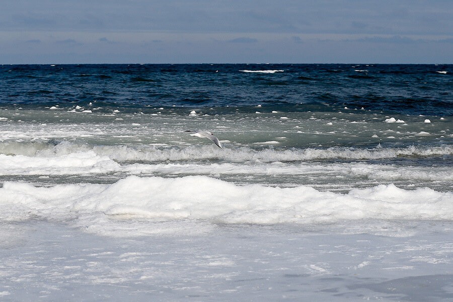 В испанском порту Лас-Пальмас застряли сто моряков из Калининграда