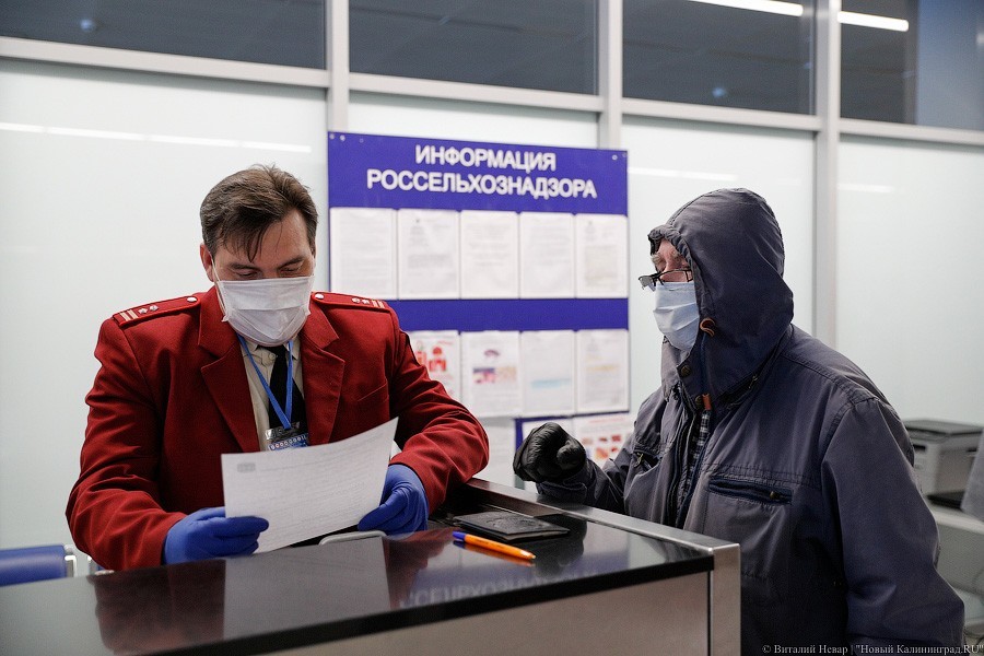 Прикрытые ворота: как работает «Храброво» в условиях пандемии (фото)