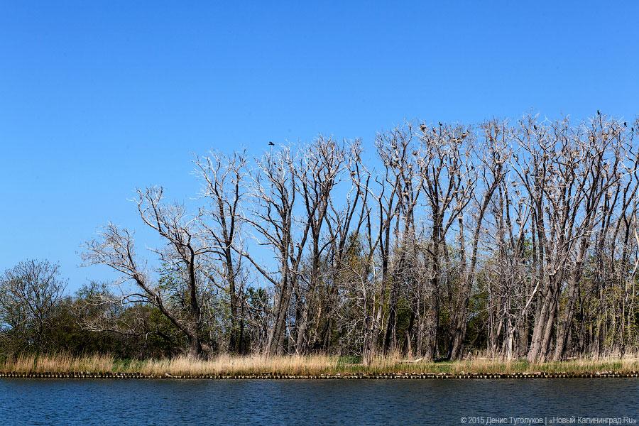 Венки на воде: калининградские яхтсмены отдали дань памяти морякам-балтийцам