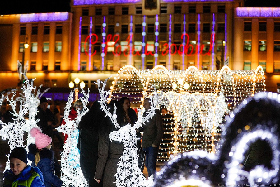 Открути оленю ушко: центр Калининграда украсили к Новому году (фото)