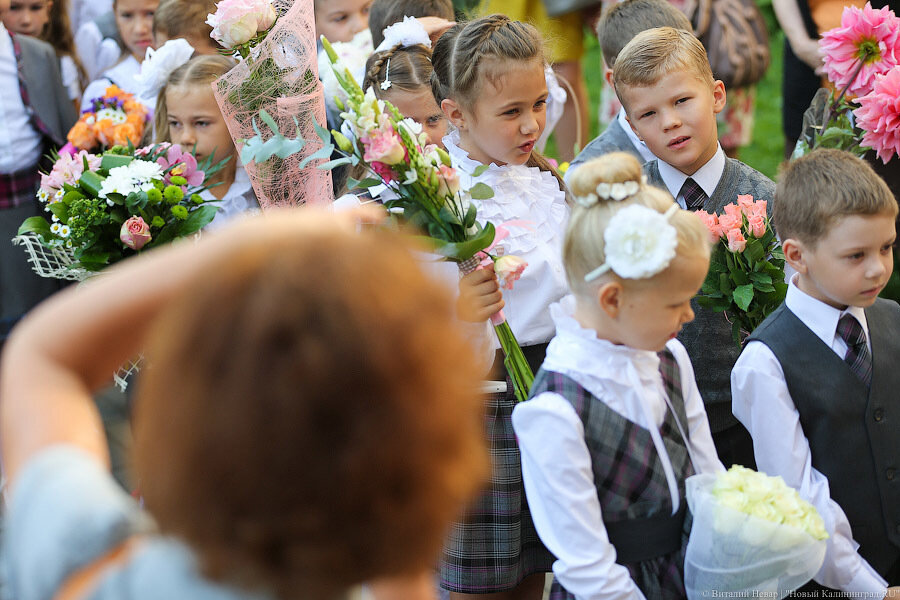 Эксперты рассказали, на сколько дороже в России стало собирать ребенка в школу