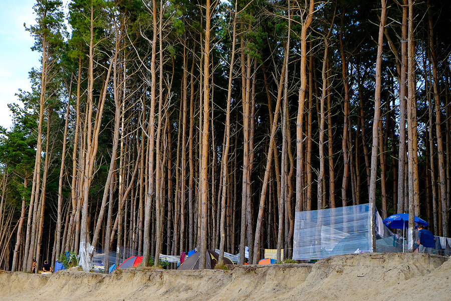 Власти: инвестор не отказывается от планов по обустройству зоны отдыха в Куликово