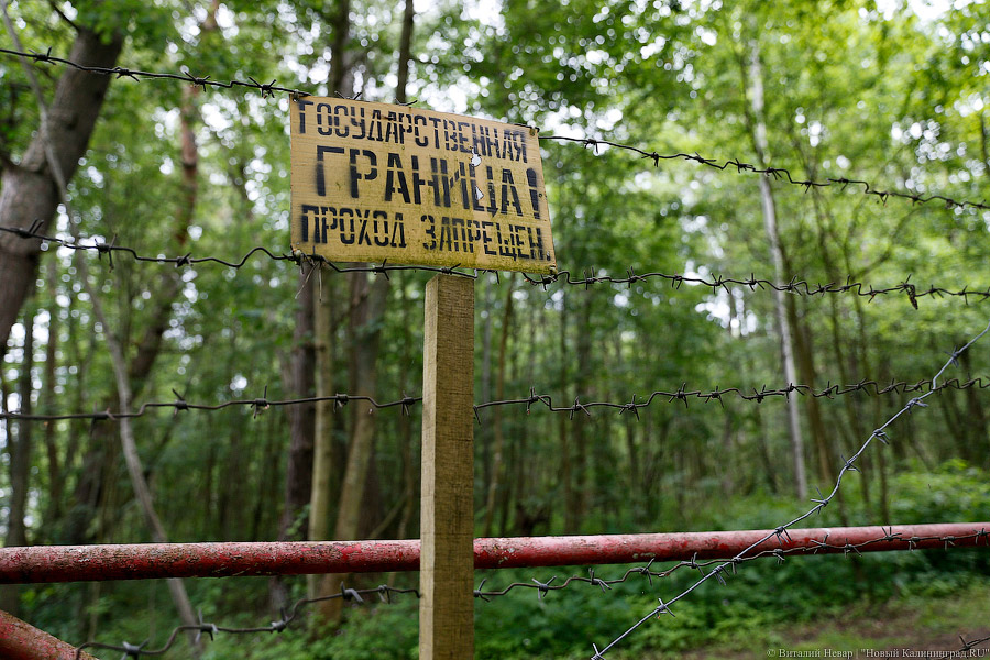 43 года на двоих: в Калининграде осудили мужчин, решивших принести из Польши наркотики