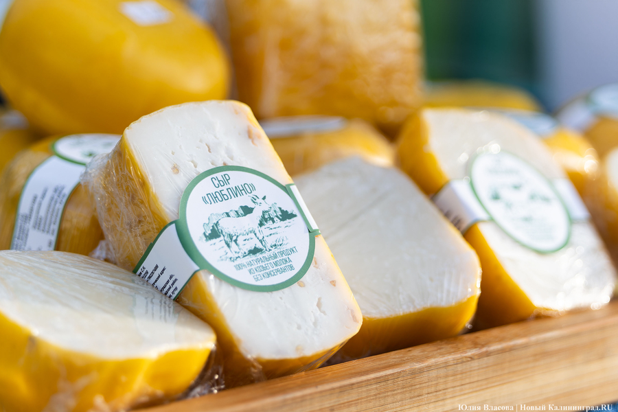 В Калининградской области увеличилось производство сыра 