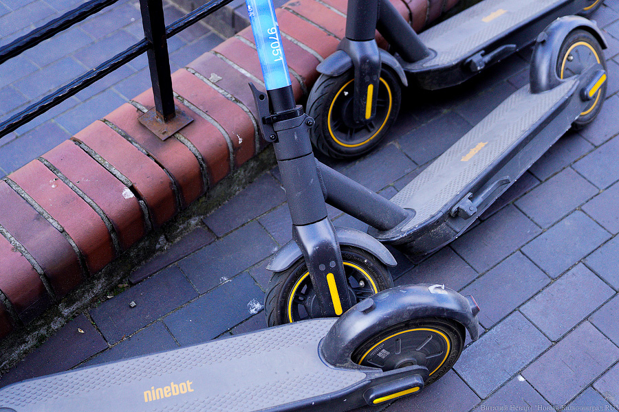 В Калининграде намерены ограничить скорость электросамокатов до 20 км/ч