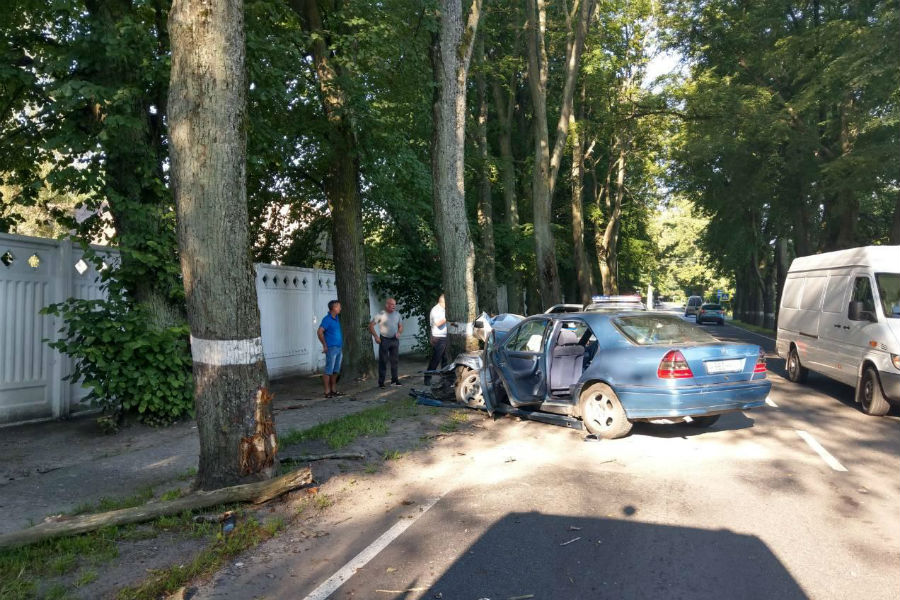 На балтийской трассе «Мерседес» вылетел на встречку и врезался в дерево (фото)