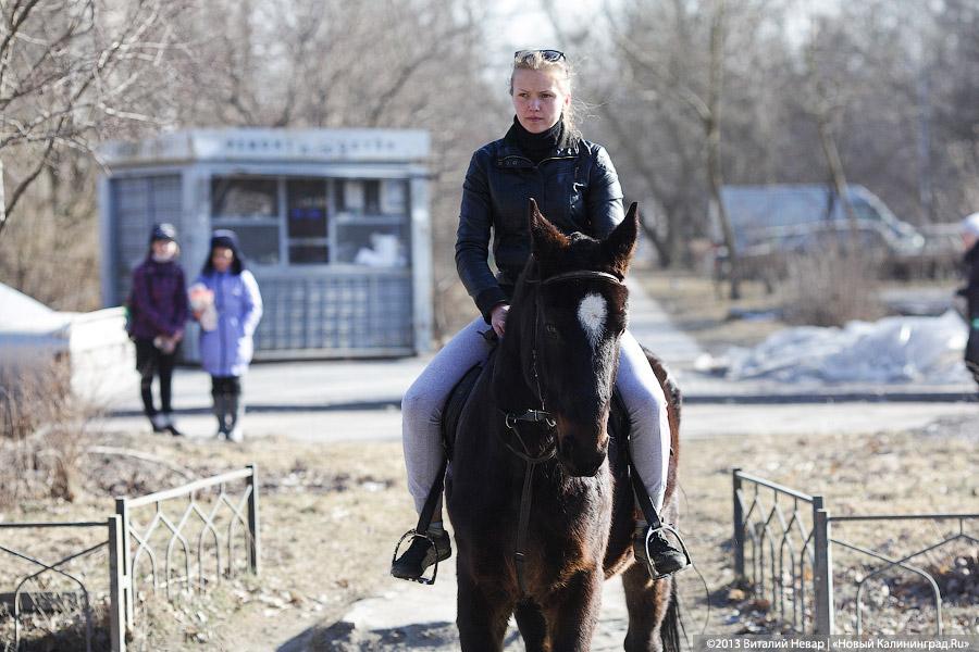 Фото — Виталий Невар, «Новый Калининград.Ru»