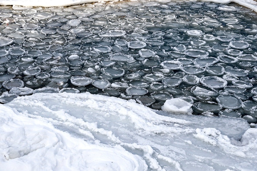В Калининграде рыбак провалился под лед озера и утонул