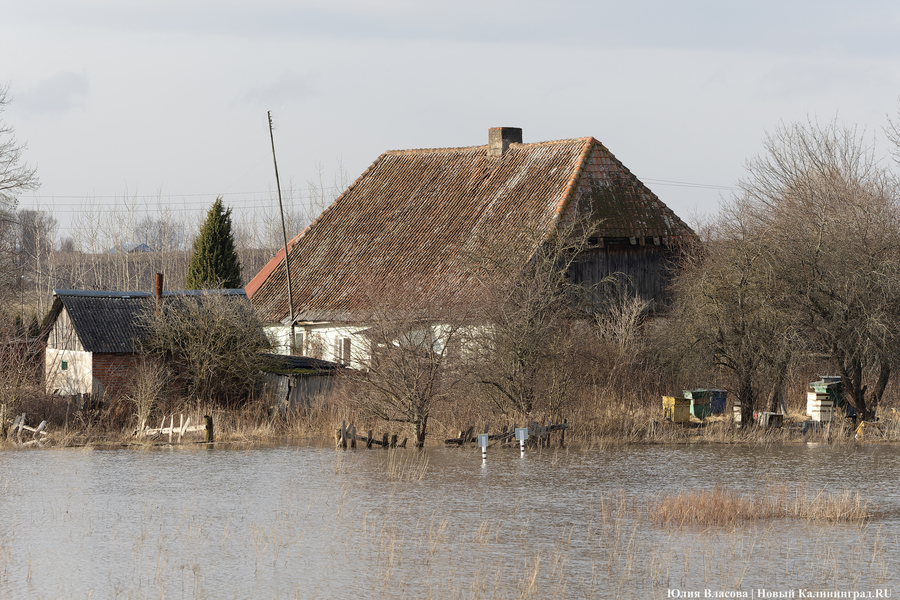 «Разлилось как никогда»: власти и эксперты — о половодье в регионе (фото)