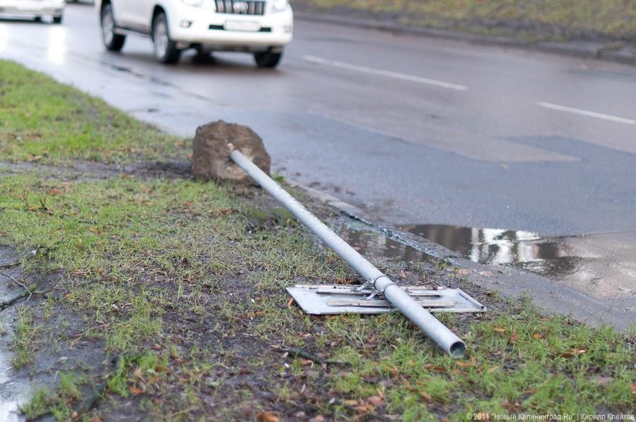 «А поутру они проснулись»: фоторепортаж «Нового Калининграда.Ru»