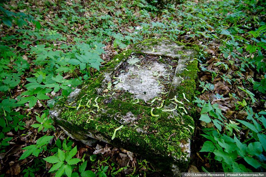 Без окон и дверей: законсервированная Кирха в Домново начала разрушаться