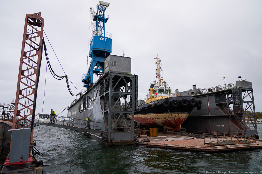 Ты не пройдешь: Балтфлот продезинфицировал от коронавируса 33-ий судоремзавод (фото)