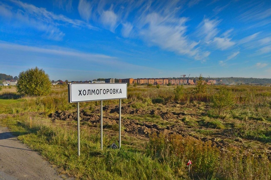 Заключить контракт на строительство дороги Калининград — Холмогоровка планируют в текущем году